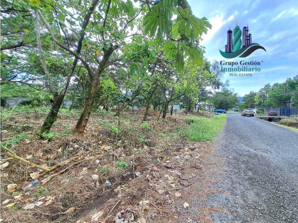 VENDO LOTE DE 1470MTS ALTO BOQUETE - 2