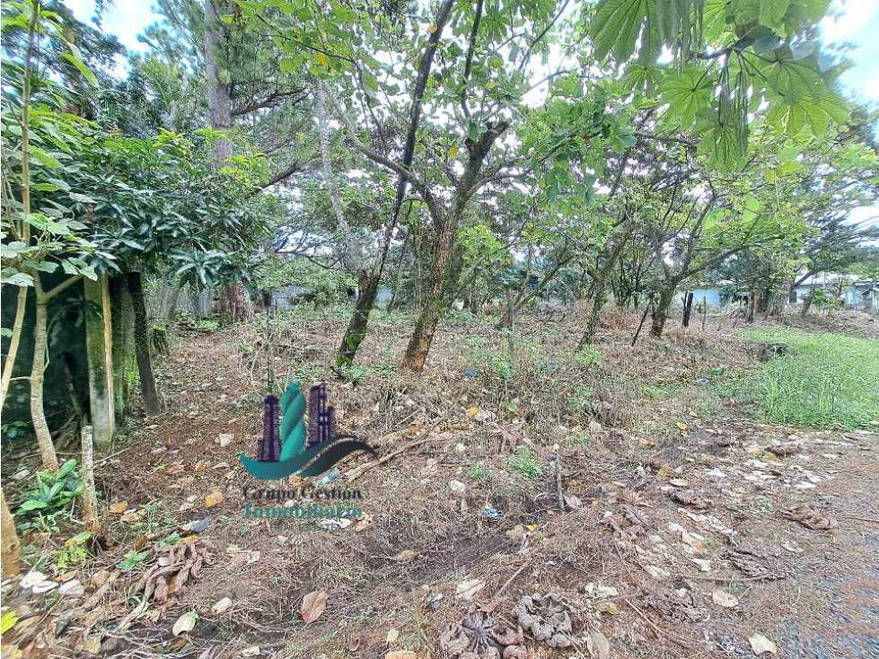 VENDO LOTE DE 1470MTS ALTO BOQUETE - 3