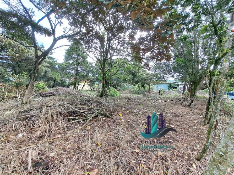 VENDO LOTE DE 1470MTS ALTO BOQUETE - 6