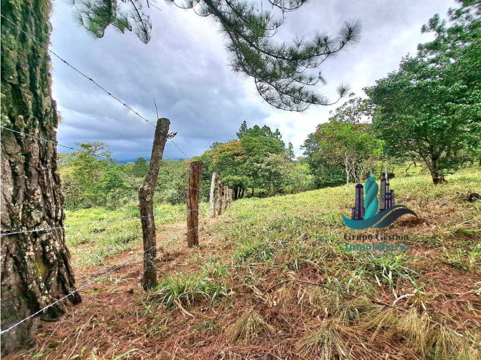 VENDO LOTE DE 1473MTS VIA.LUCERO