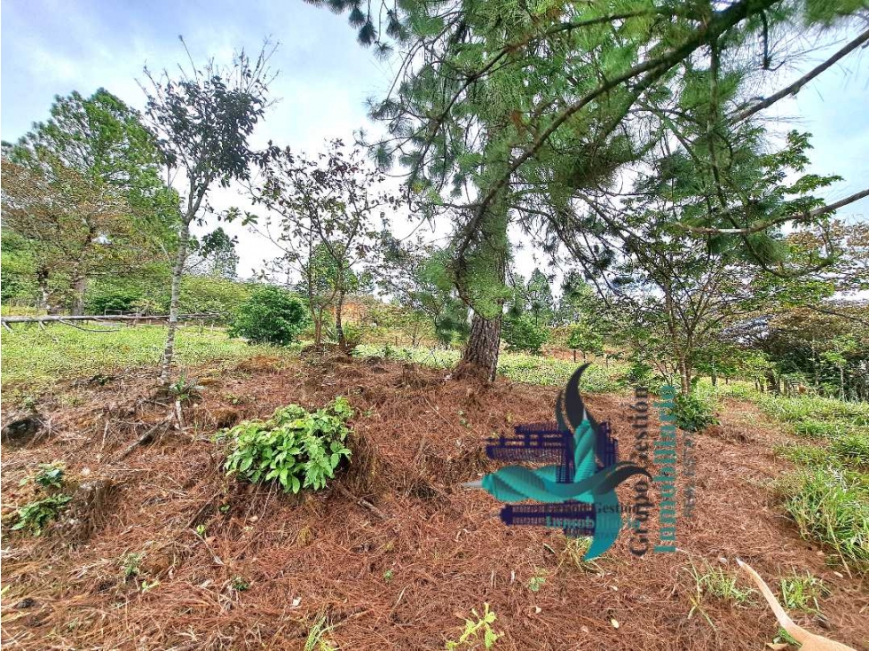 VENDO LOTE DE 1473MTS VIA.LUCERO — foto 3