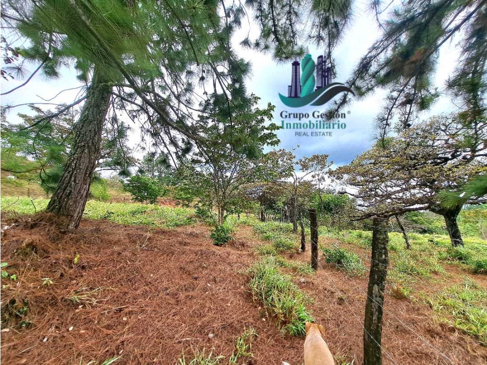 VENDO LOTE DE 1473MTS VIA.LUCERO — foto 4