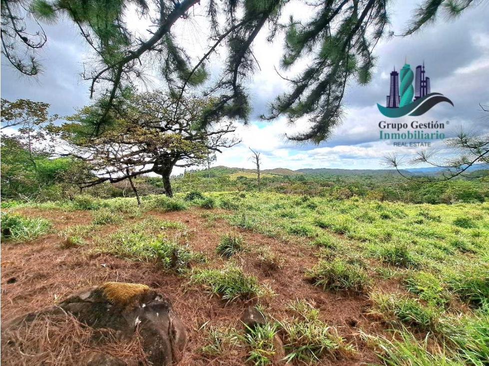 VENDO LOTE DE 1473MTS VIA.LUCERO — foto 5