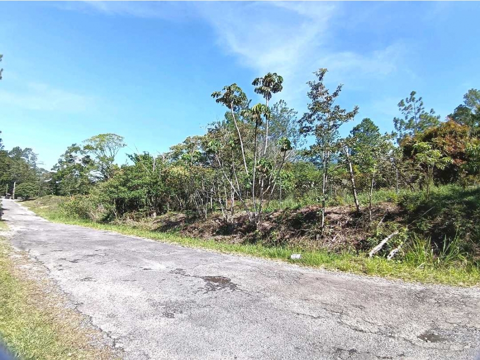 VENDO LOTE DE 1502MTS BQT — foto 2