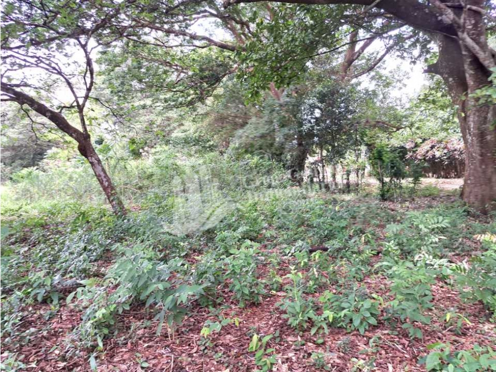 VENDO LOTE DE 1583M2 TITULADO CALDERA EN OFERTA — foto 2