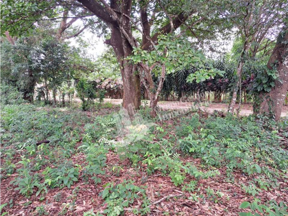 VENDO LOTE DE 1583M2 TITULADO CALDERA EN OFERTA — foto 3
