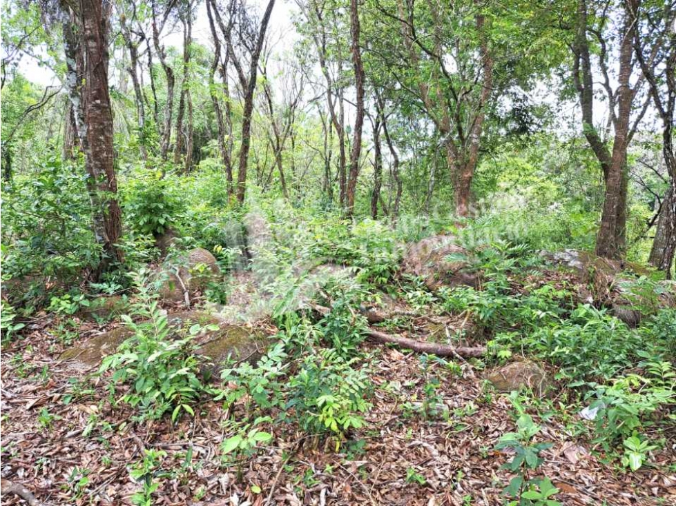 VENDO LOTE DE 1583M2 TITULADO CALDERA EN OFERTA — foto 5