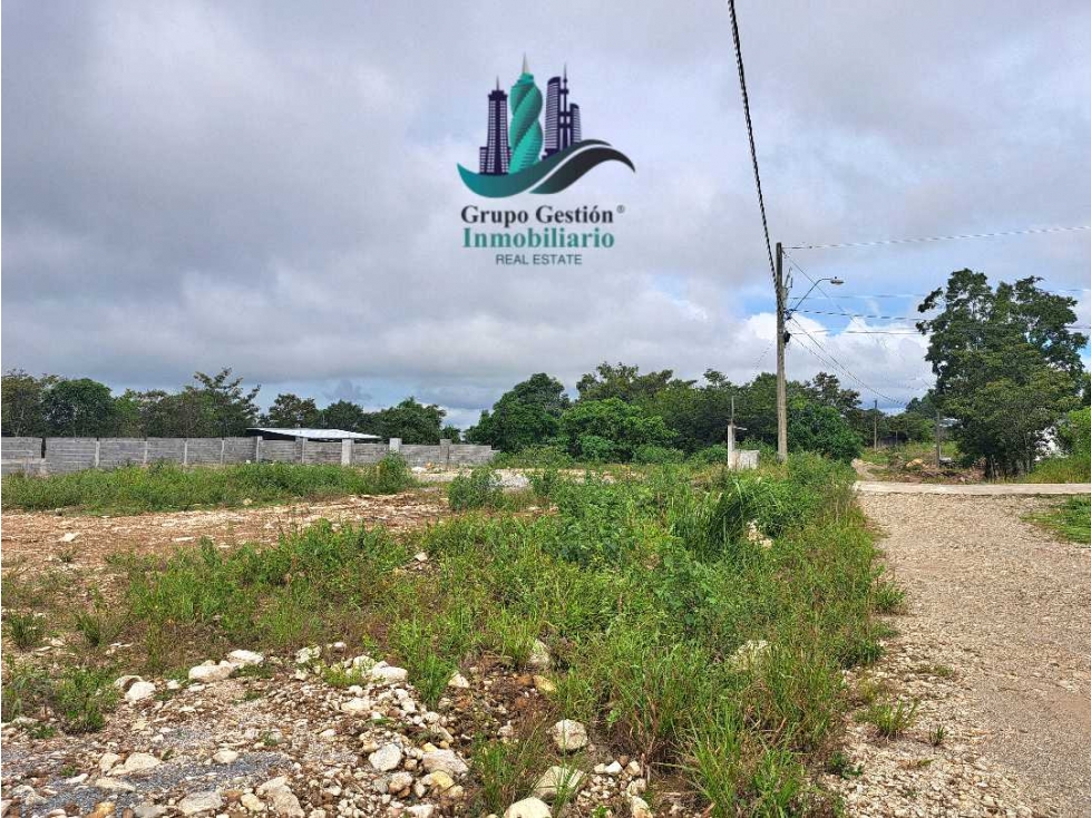 VENDO LOTE DE 1600MTS CON MURO — foto 5