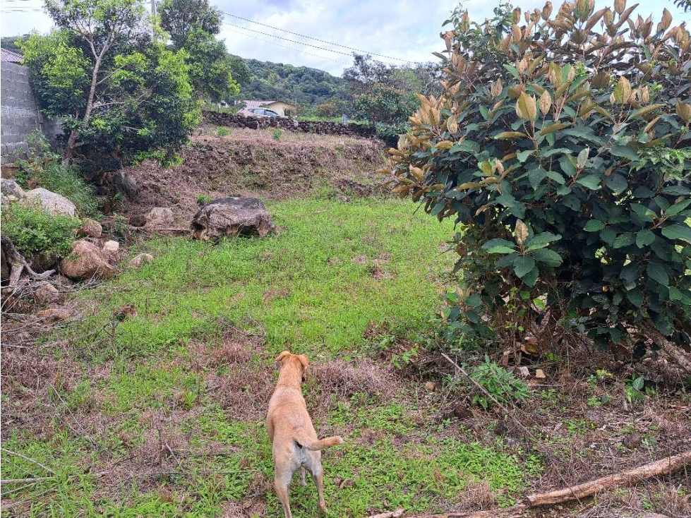VENDO LOTE DE 1795M2 EN ALTO BOQUETE
