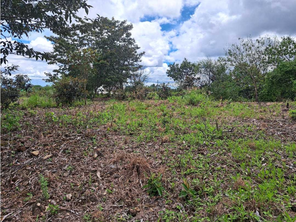 VENDO LOTE DE 1795M2 EN ALTO BOQUETE — foto 2