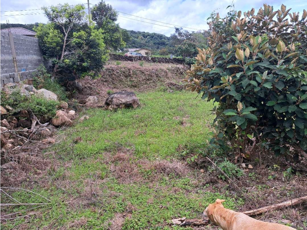 VENDO LOTE DE 1795M2 EN ALTO BOQUETE — foto 3