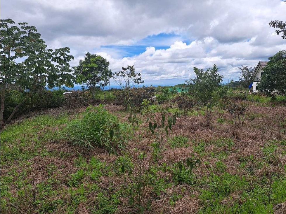 VENDO LOTE DE 1795M2 EN ALTO BOQUETE — foto 4