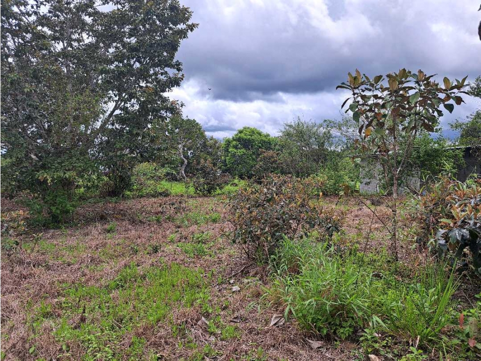 VENDO LOTE DE 1795M2 EN ALTO BOQUETE — foto 5