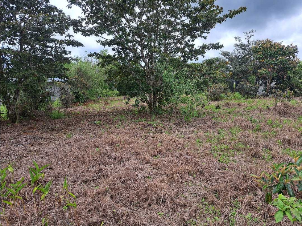 VENDO LOTE DE 1795M2 EN ALTO BOQUETE — foto 6