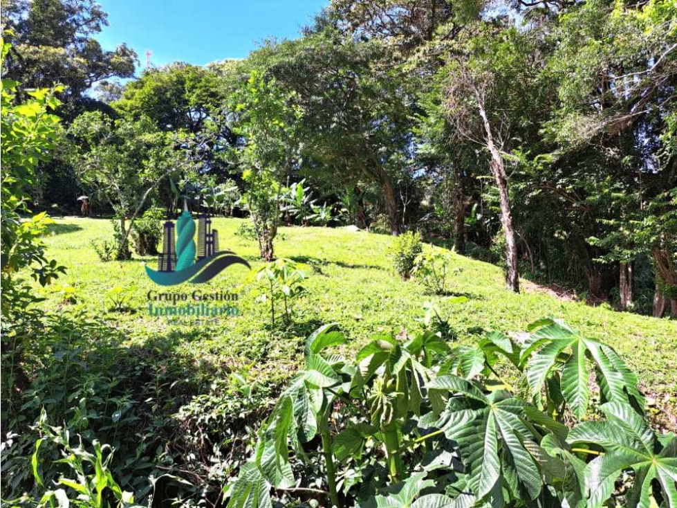 VENDO LOTE DE 1953M2 JARAMILLO - 3