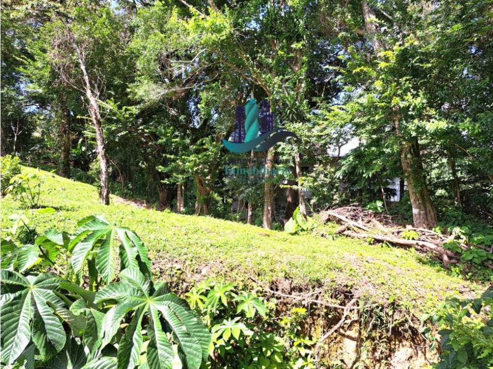 VENDO LOTE DE 1953M2 JARAMILLO - 4