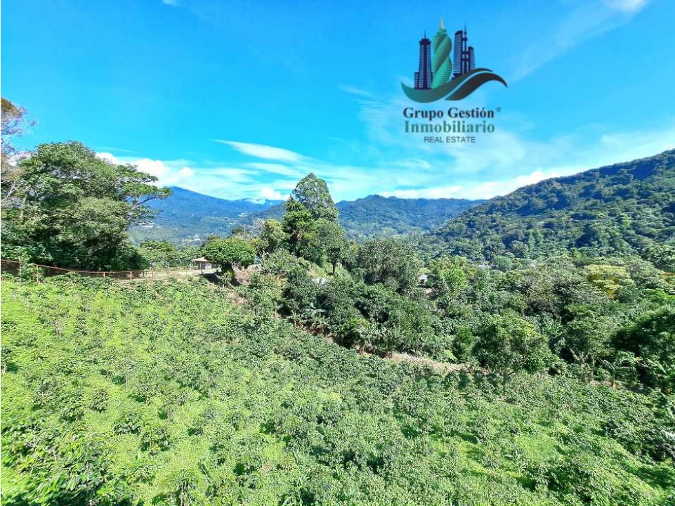 VENDO LOTE DE 2000M2 EN JARAMILLO ARRIBA — foto 2