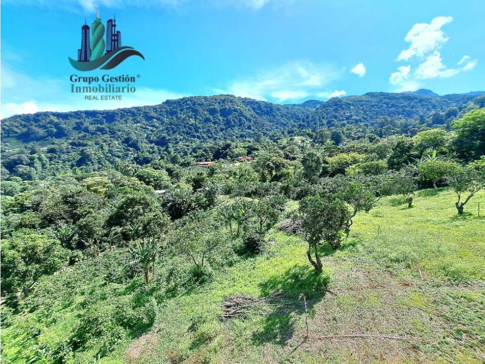 VENDO LOTE DE 2000M2 EN JARAMILLO ARRIBA — foto 3