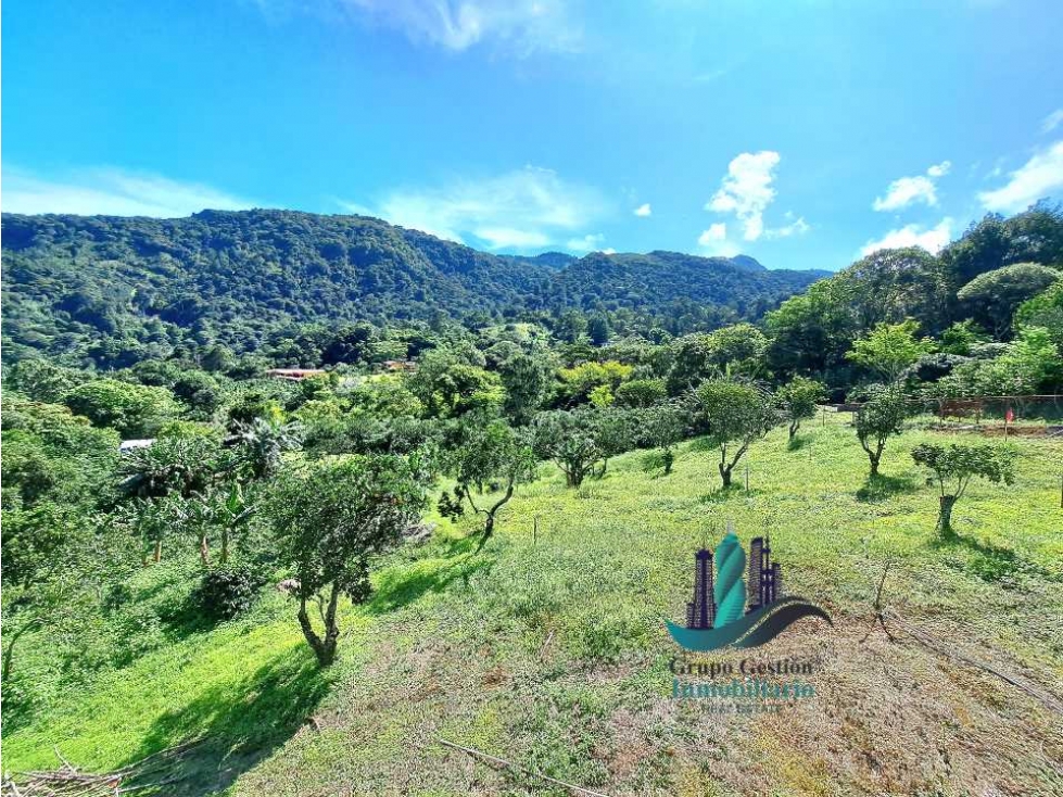 VENDO LOTE DE 2000M2 EN JARAMILLO ARRIBA — foto 4