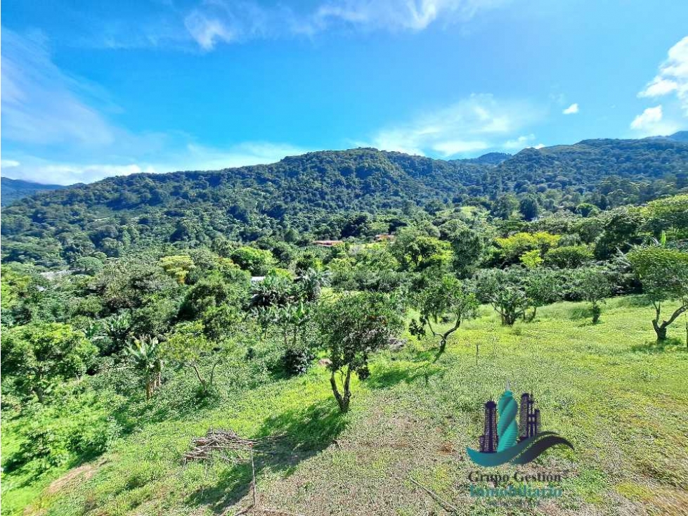 VENDO LOTE DE 2000M2 EN JARAMILLO ARRIBA — foto 5