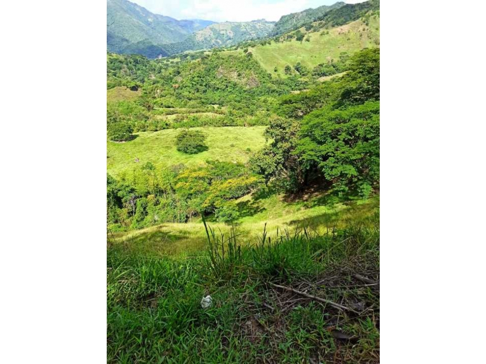 VENDO LOTE DE 22 CUADRAS EN EL SECTOR LA SIRIA ANTIOQUIA - 2