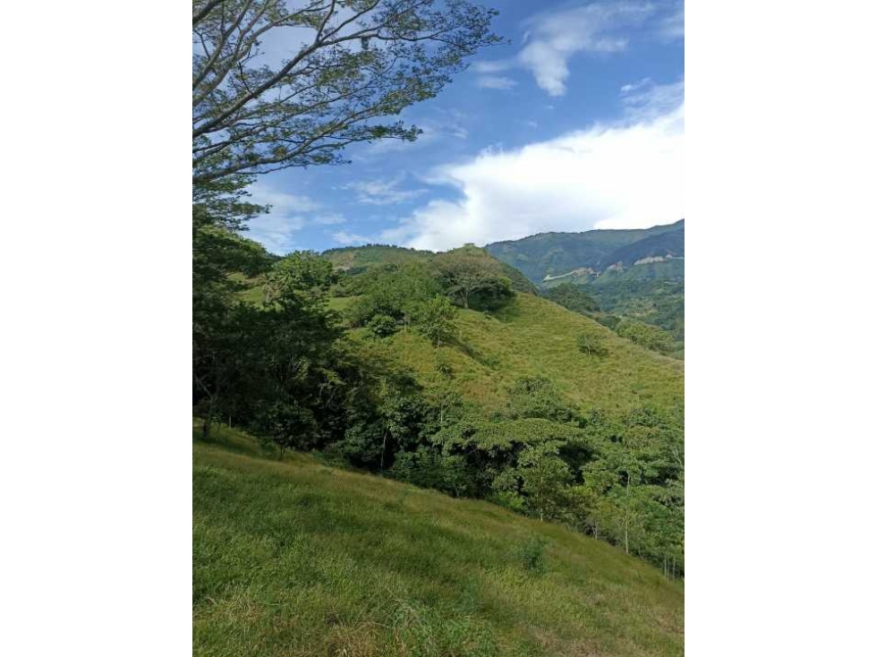VENDO LOTE DE 22 CUADRAS EN EL SECTOR LA SIRIA ANTIOQUIA - 4