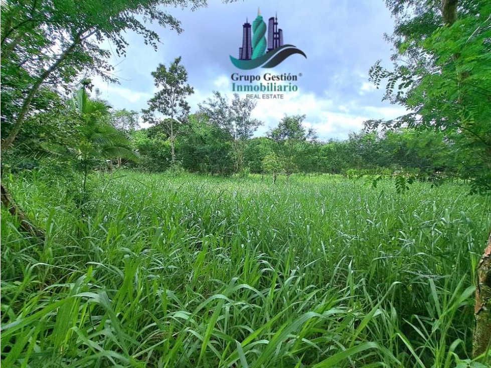 VENDO LOTE DE 2660M2 SORTOVA - 2
