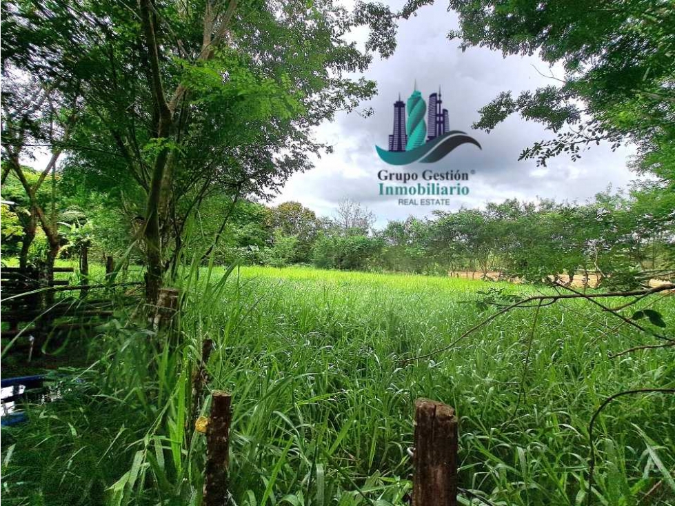 VENDO LOTE DE 2660M2 SORTOVA - 3