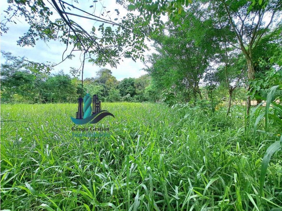 VENDO LOTE DE 2660M2 SORTOVA - 4
