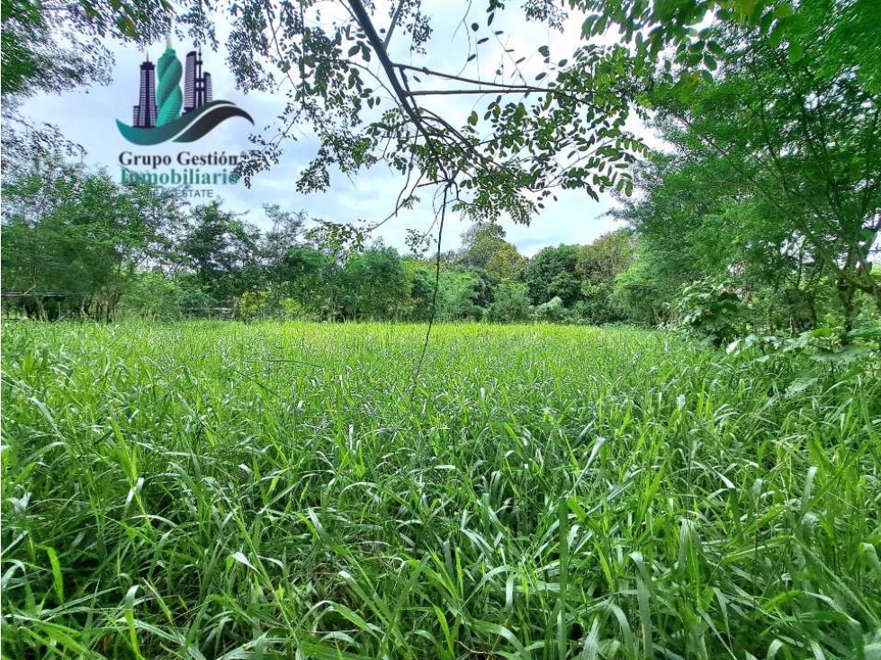 VENDO LOTE DE 2660M2 SORTOVA - 5