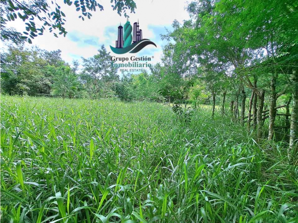 VENDO LOTE DE 2660M2 SORTOVA - 6