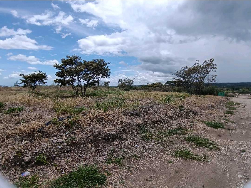 VENDO LOTE DE 3000MTS ALTO BOQUETE — foto 2