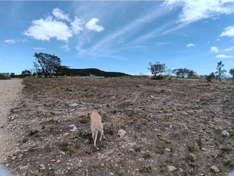 VENDO LOTE DE 3000MTS ALTO BOQUETE — foto 4