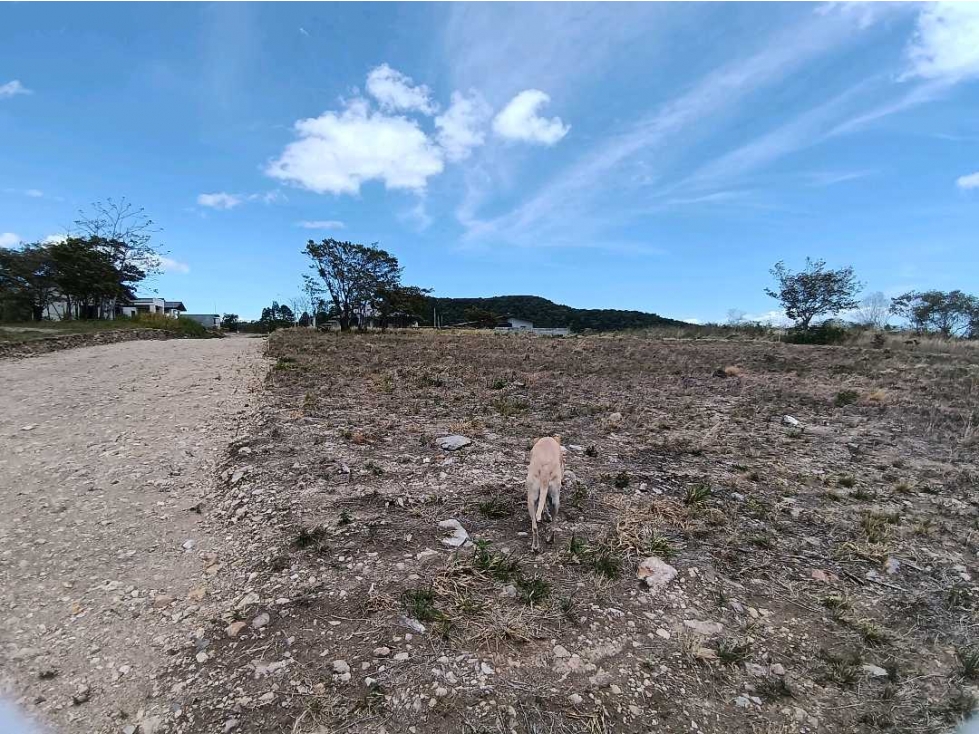 VENDO LOTE DE 3000MTS ALTO BOQUETE — foto 5
