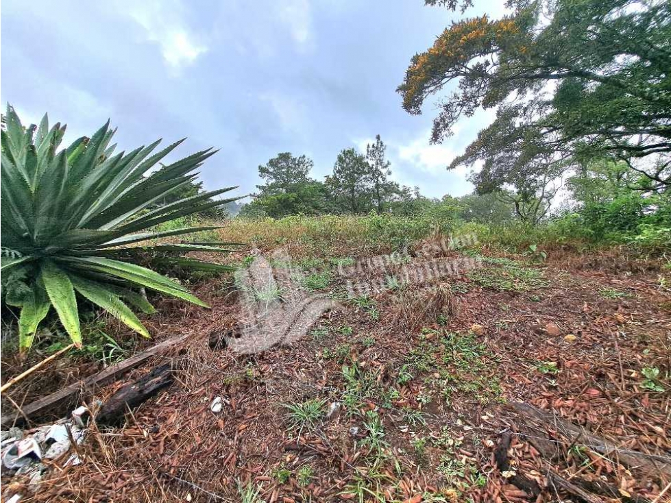 VENDO LOTE DE 3185M2 VOLCANCITO — foto 5
