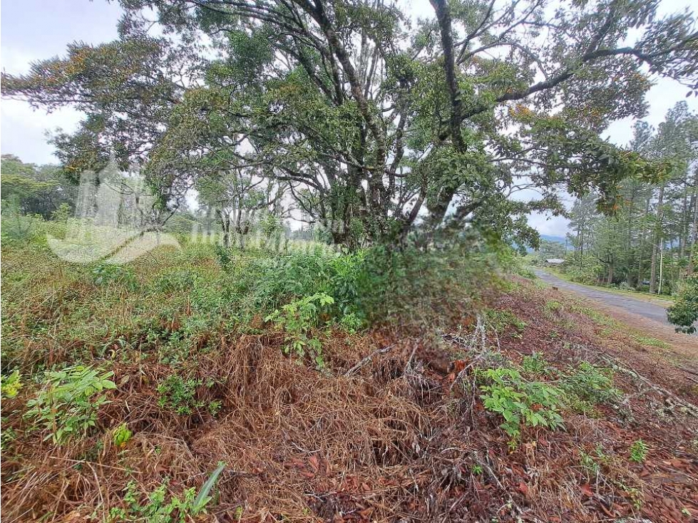 VENDO LOTE DE 3185M2 VOLCANCITO — foto 2