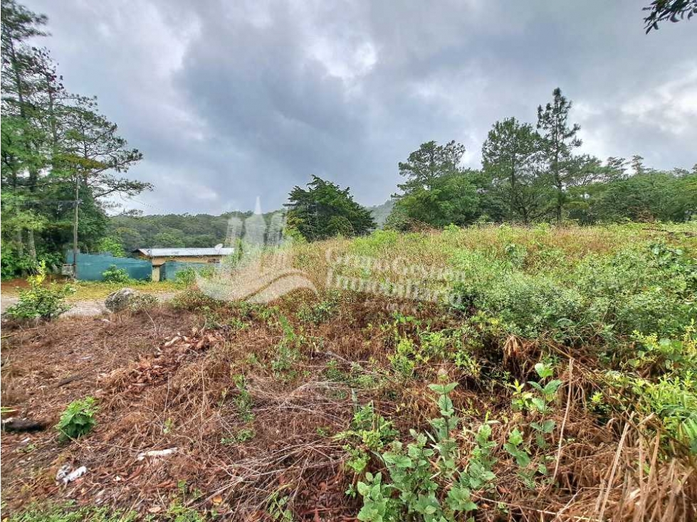 VENDO LOTE DE 3185M2 VOLCANCITO — foto 3