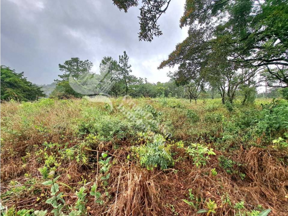 VENDO LOTE DE 3185M2 VOLCANCITO — foto 4