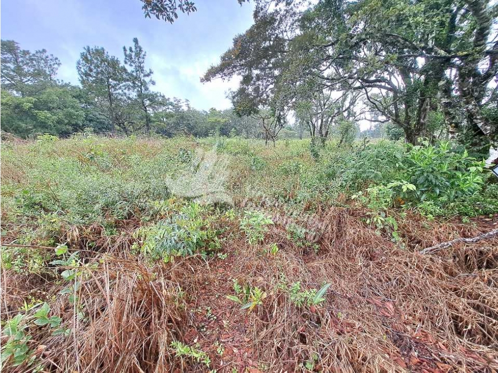 VENDO LOTE DE 3185M2 VOLCANCITO — foto 6