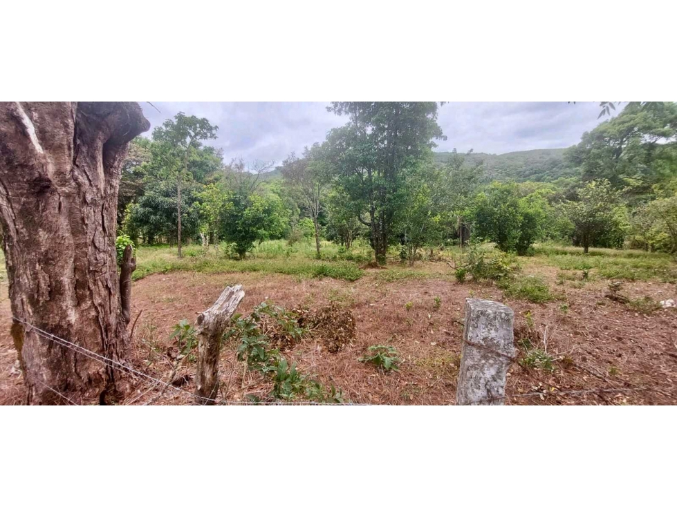 VENDO LOTE DE 3875mts Jaramillo.abajo