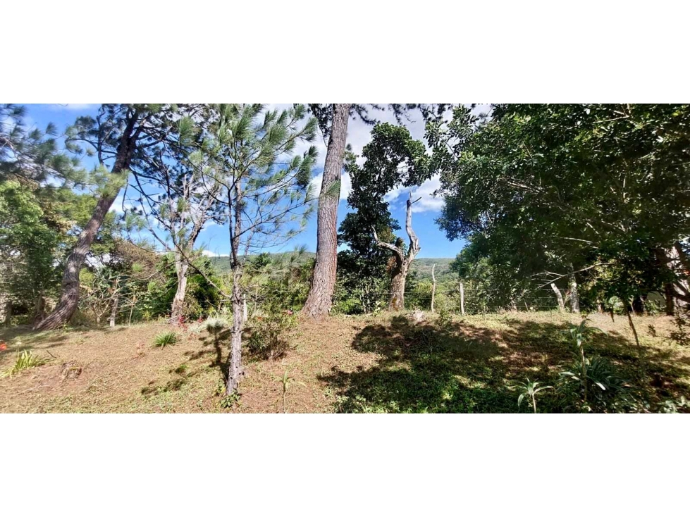 VENDO LOTE DE 3875mts Jaramillo.abajo — foto 2