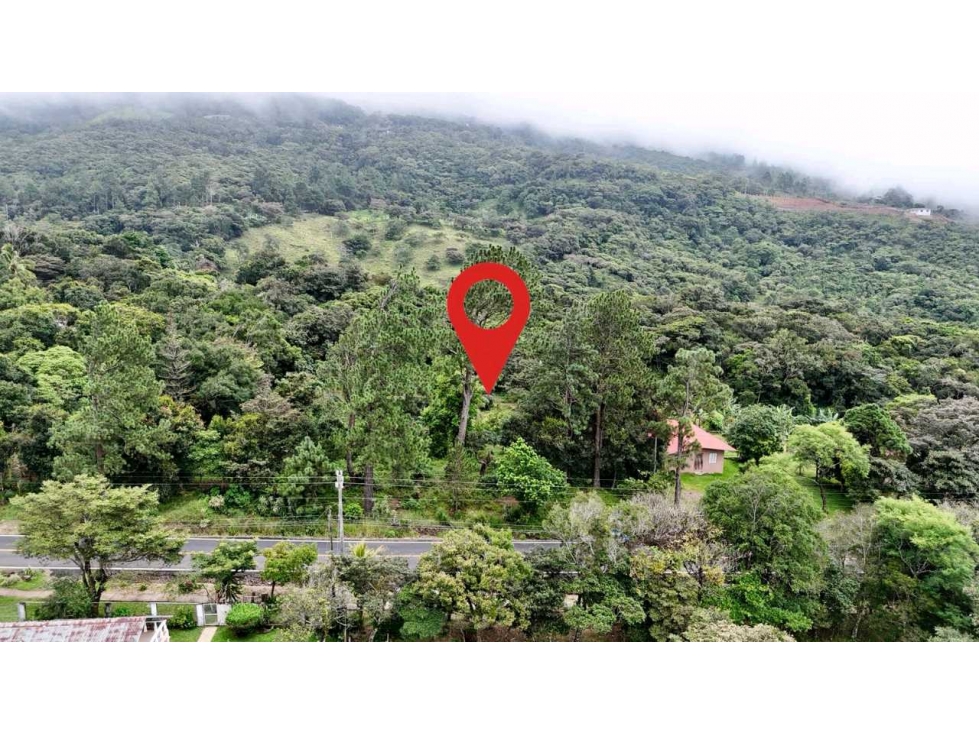 VENDO LOTE DE 3875mts Jaramillo.abajo — foto 5