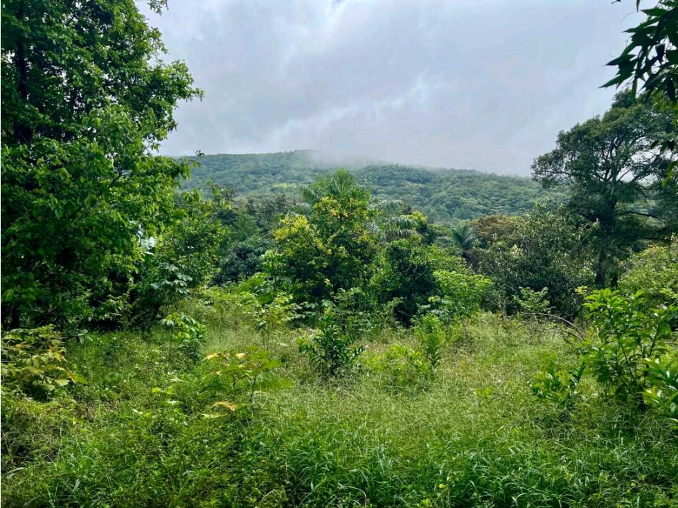 VENDO LOTE DE 3875mts Jaramillo.abajo — foto 6