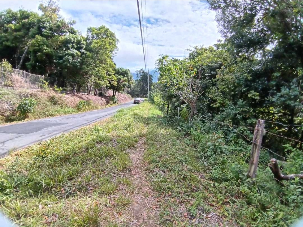 VENDO LOTE DE 4000MTS VOLCANCITO BQT — foto 5