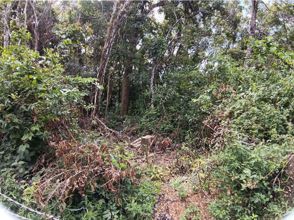 VENDO LOTE DE 4000MTS VOLCANCITO BQT — foto 6