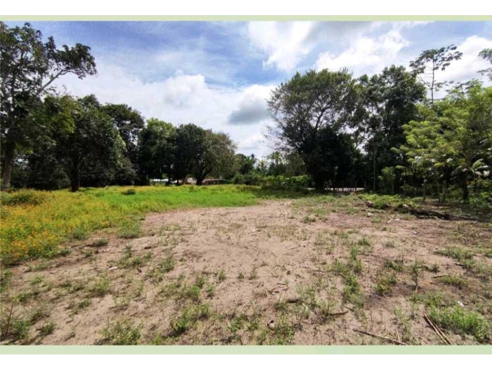 VENDO LOTE DE 4006MTS PUERTO ARMUELLES - 4