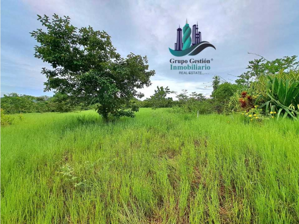 VENDO LOTE DE 4026M2 LAJAS ADENTRO - 2