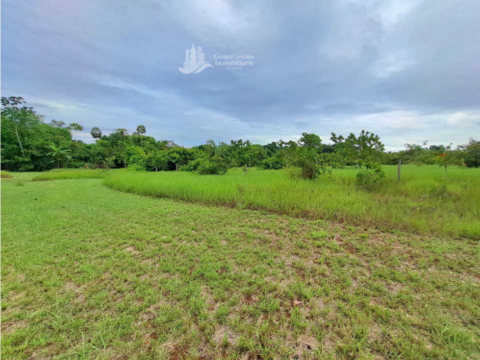 VENDO LOTE DE 4026M2 LAJAS ADENTRO - 5