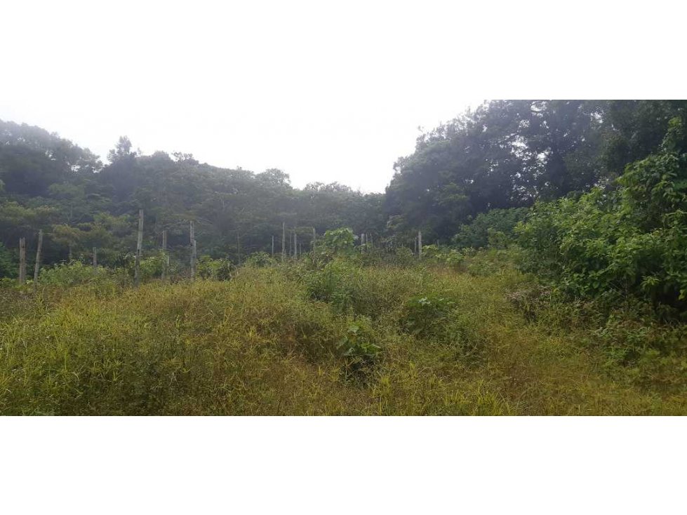 VENDO LOTE DE 4500M2 EN PALMIRA ARRIBA