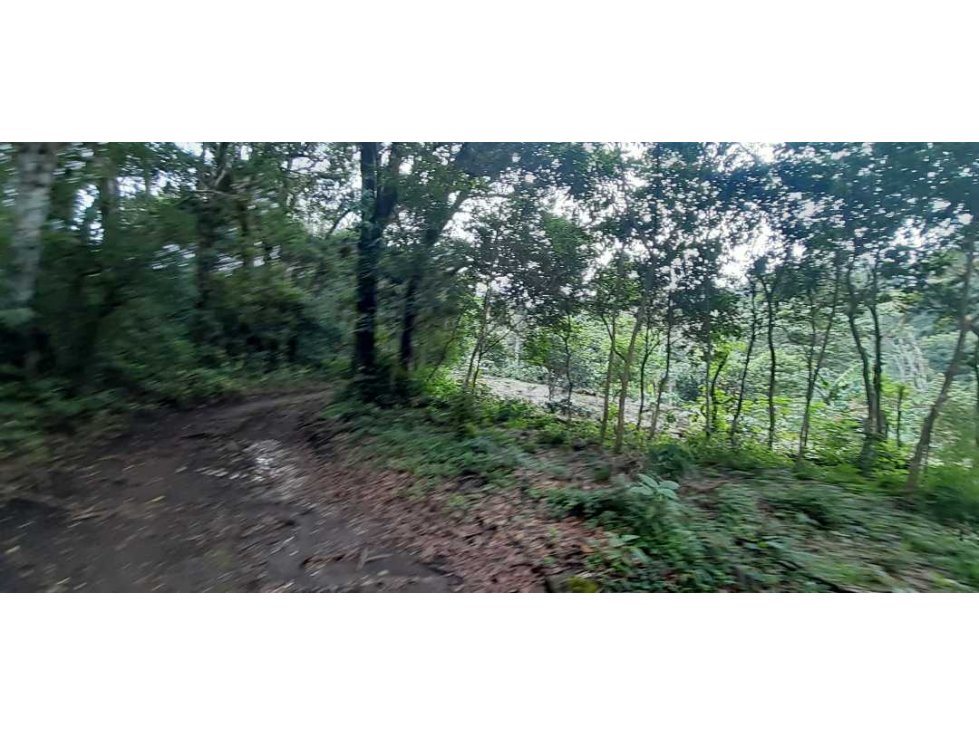 VENDO LOTE DE 4500M2 EN PALMIRA ARRIBA — foto 6